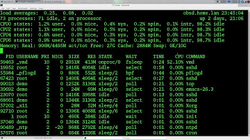 OS Comparison Episode 1.1 Supplement for OpenBSD 6.7 ( Virtualization and installing PostgreSQL 12)