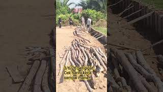 Tgl Pengigat Bos Sdanai Mana Hasilnya