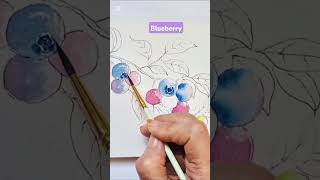 Blueberry ~무지개달팽이 #어반스케치 #수채화 #만족 #취미