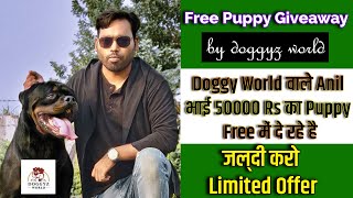 Free Puppy Giveaway By @DoggyzWorld || 50000 Rupess का पप्पी फ्री में दे रहे है Doggyz World ||