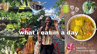 High Raw Vegan What I Eat In A Day Nutritious, Cozy Recipes