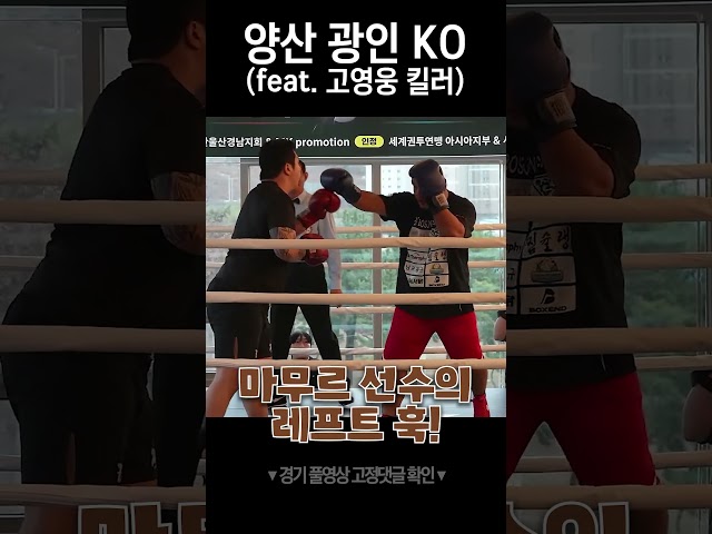양산광인 vs 고영웅을 이긴 마무르