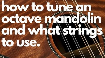 How do you tune an octave mandolin? And what strings do you use?