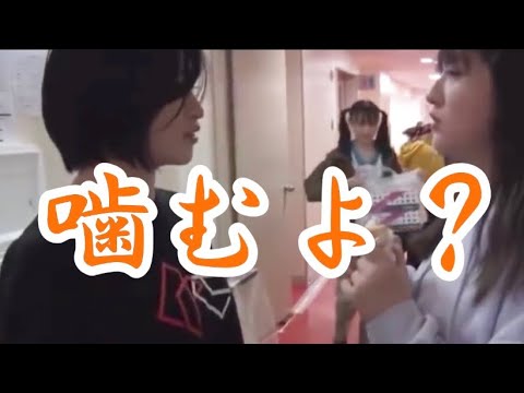 怒る羽賀 怒られる加賀