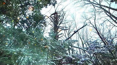 Joque // Inside a Dream