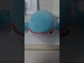 Kyogre  shorts strawberry kyogre trendingshorts viral took me 6 tries to sync the music