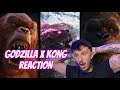 Godzilla x kong the new empire trailer reaction