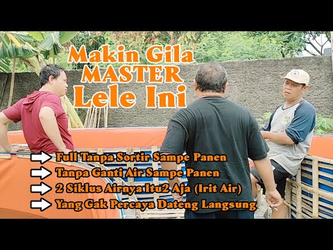 #dtvlele YANG Gak Percaya CEK Deskripsi VIDEO dan KOMUNIKASI Langsung Dengan Si MASTER LELE ini