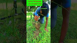 Metal Detecting for Beginners | Complete Guide to Finding Treasure #youtubeshort #yt