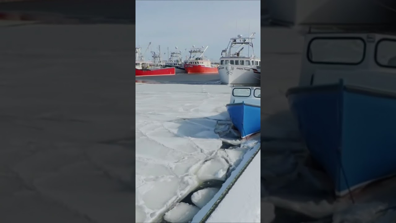 Boats Frozen In 2026