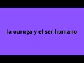 el ser humano es como una oruga !!!