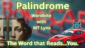 Palindrome: The Word That Reads You #etymology #words #history