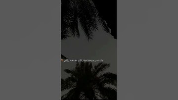 أرح سمعك 🥀القارئ: ناصر القطامي 🍃