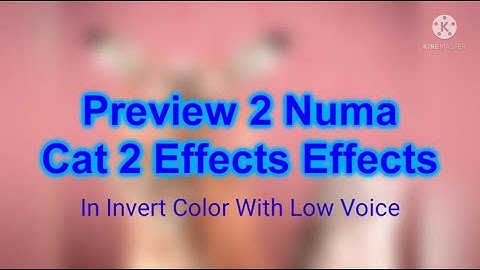 Preview 2 Numa Cat 2 Effects (Sponsored by Preview 2 Effects) In Invert Color With Low Voice