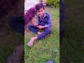#funny #comedy #viralvideo #shorts Dwivedi comedy video 😂
