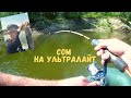 сом жерех на спиннинг. рыбалка на спиннинг.
