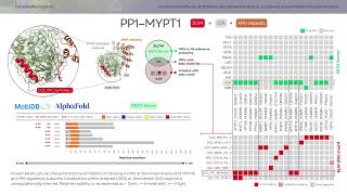 Functional Interfaces At Ordered... - Carla Luciana Padilla Franzotti - Scs - Ismbeccb 2025