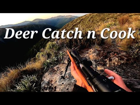 Filling the Freezer During the 2026 "Roar"
