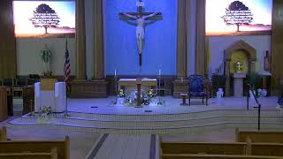 Blessed Trinity Sunday Mass