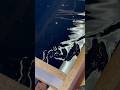 Before and after 1st black epoxy pour 🖤 check out full video on channel👉🏻