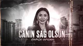 Yaşanmadan Bilinmiyor Vedalar - Damla Arıcan (Tiktok Mix) Canın Sağ Olsun
