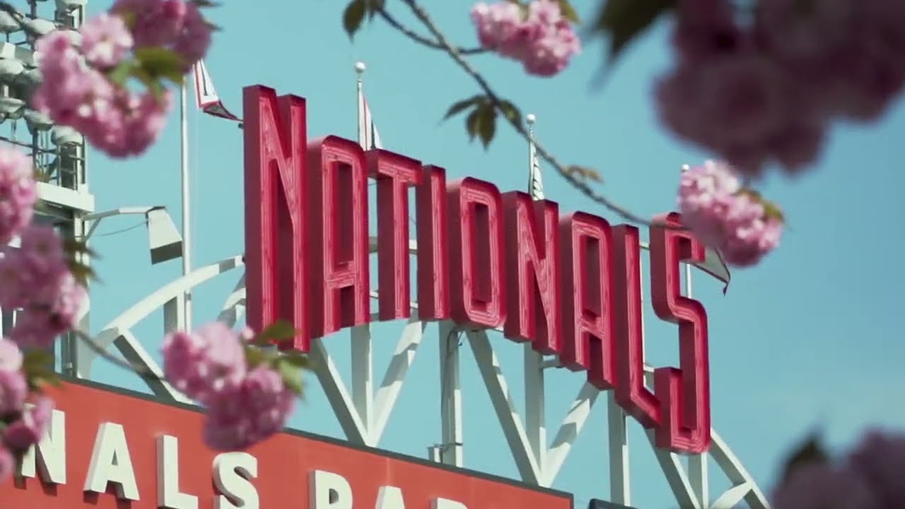 washington nationals blossom jersey