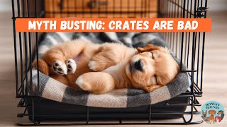 Honest Hounds Myth Busting | Crate Training: Harmful or Helpful for Dogs