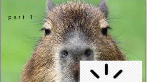 Capybara clicker [part 1]