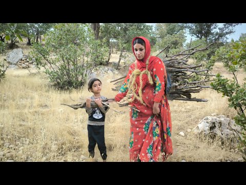 ผลสลากกินแบ่งรัฐบาล วันที่ 1 พย. 2567