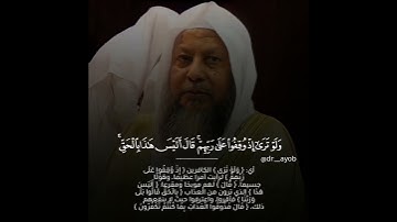 الشيخ محمد أيوب رحمه الله #القرآن_الكريم #تلاوة_خاشعة #محمد_ايوب #اكسبلور #viral