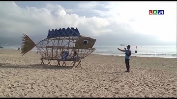 Cá bống khổng lồ "ăn" rác thải nhựa ở Đà Nẵng | LONG AN TV