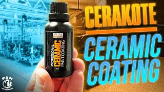 Easy Brilliance: Cerakote Professional Ceramic Paint Coating Application and First Impressions!