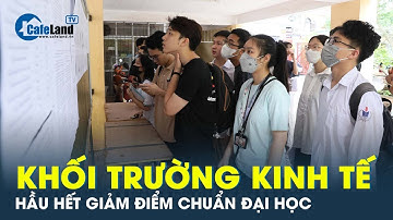 Điểm chuẩn đại học 2023: Giảm điểm đầu vào nhưng khối kinh tế vẫn là ngành hot top đầu | CafeLand