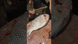 Great Big Tilapia Fish Cutting Skills Live 