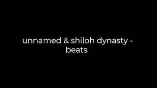 shiloh dynasty type beats