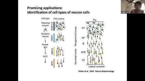 Demystifying the drop-outs in single cell RNA-seq data