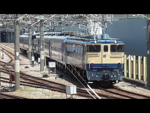 高崎12系、高崎旧客4両、EF65 501 、EF64 11両セット EF64 1001＋旧形客車＋EF65 501の団体臨時列車運転｜鉄道