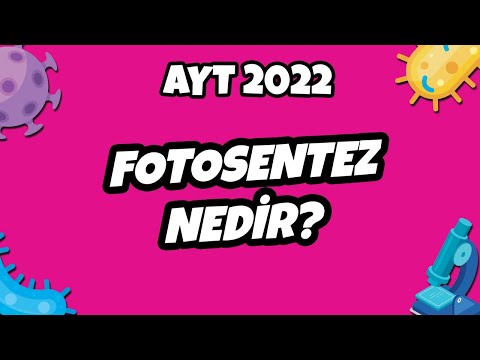 AYT Biyoloji - Fotosentez Nedir? | AYT Biyoloji 2022 #hedefekoş