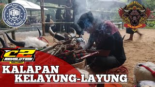 KALAPAN - PUTRO JOYO WALTIKTAH - KELAYUNG LAYUNG - BY DJ C2 REVOLUTION