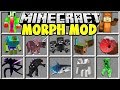 Minecraft MORPH MOD | SHAPE SHIFT INTO ANY MINECRAFT BOSS OR YOUTUBER!!