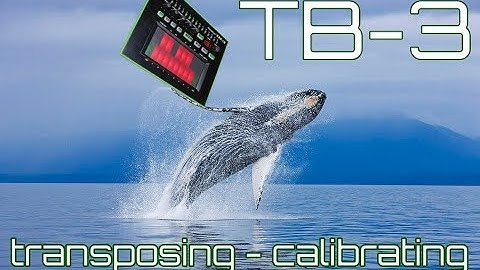 Roland TB-3 - Transposing - Calibration - Key Signatures - Tuning
