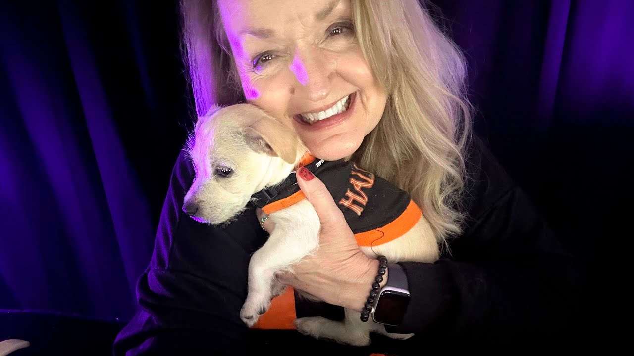 ASMR / Gently Brushing My New Puppy To Sleep 🐶 ♥️