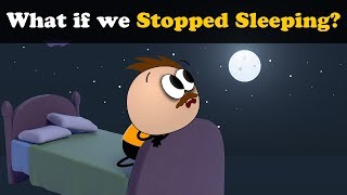 What if we Stopped Sleeping? + more videos | #aumsum #kids #science #education #children