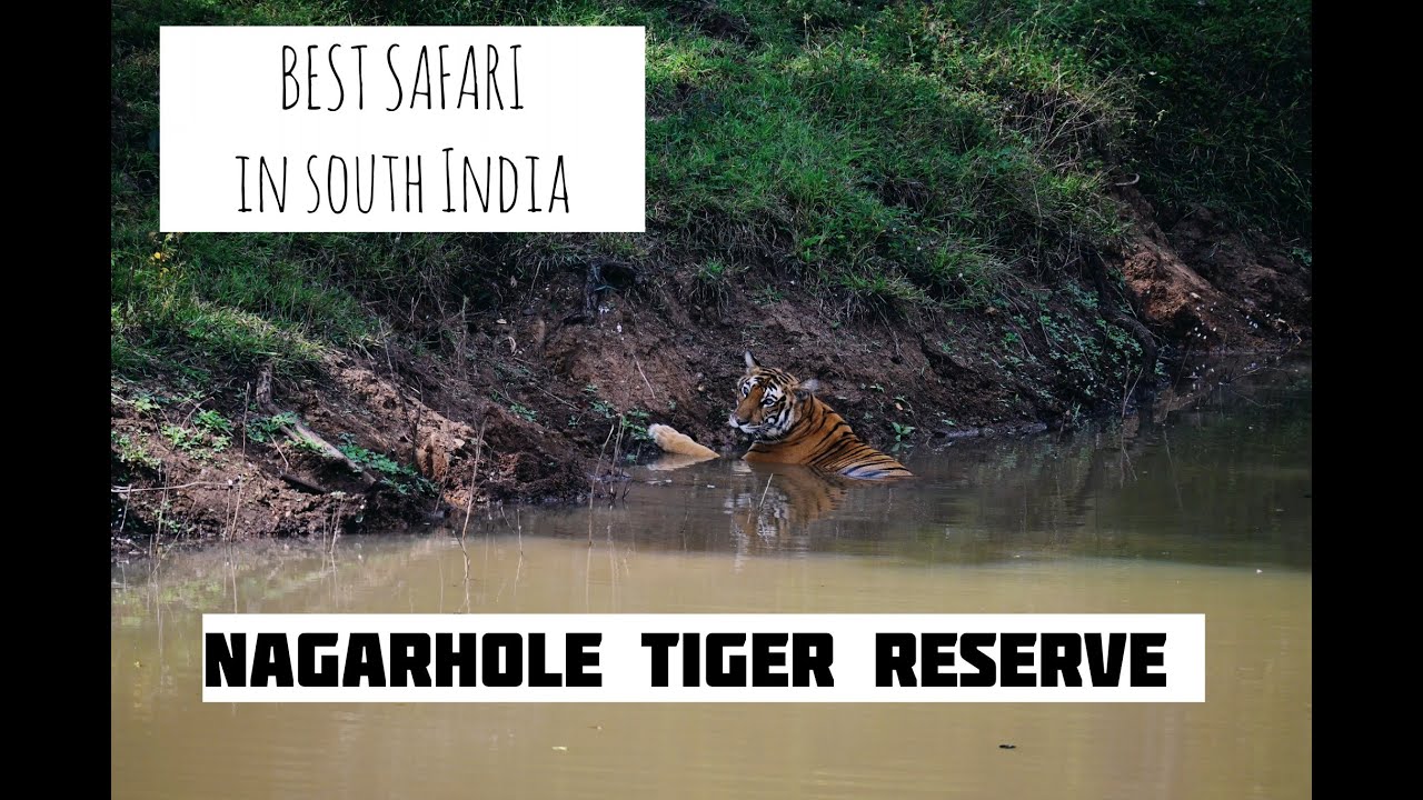 Kabini Forest Safari | Nagarhole Tiger Reserve in India | Karnataka 