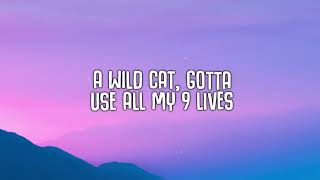 Alok, Alan Walker   Headlights Lyrics ft  KIDDO
