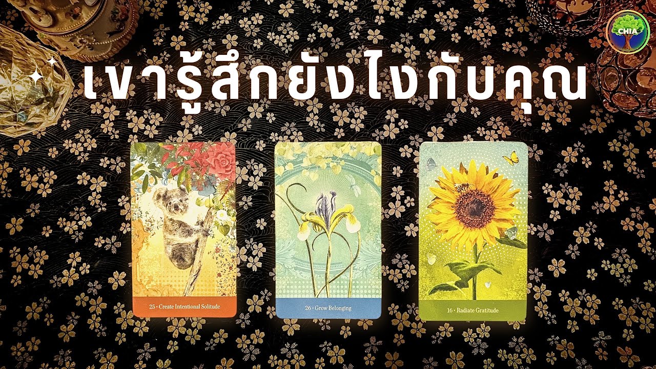 Pick a card เขารู้สึกยังไงกับคุณ อะไรจะเกิดต่อจากนี้  เปิดไพ่คู่กรณีล้วนๆ 🐨🌻