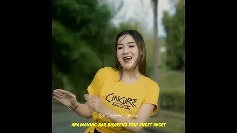 STORY WA 30 DETIK STATUS WA DANGDUT KOPLO