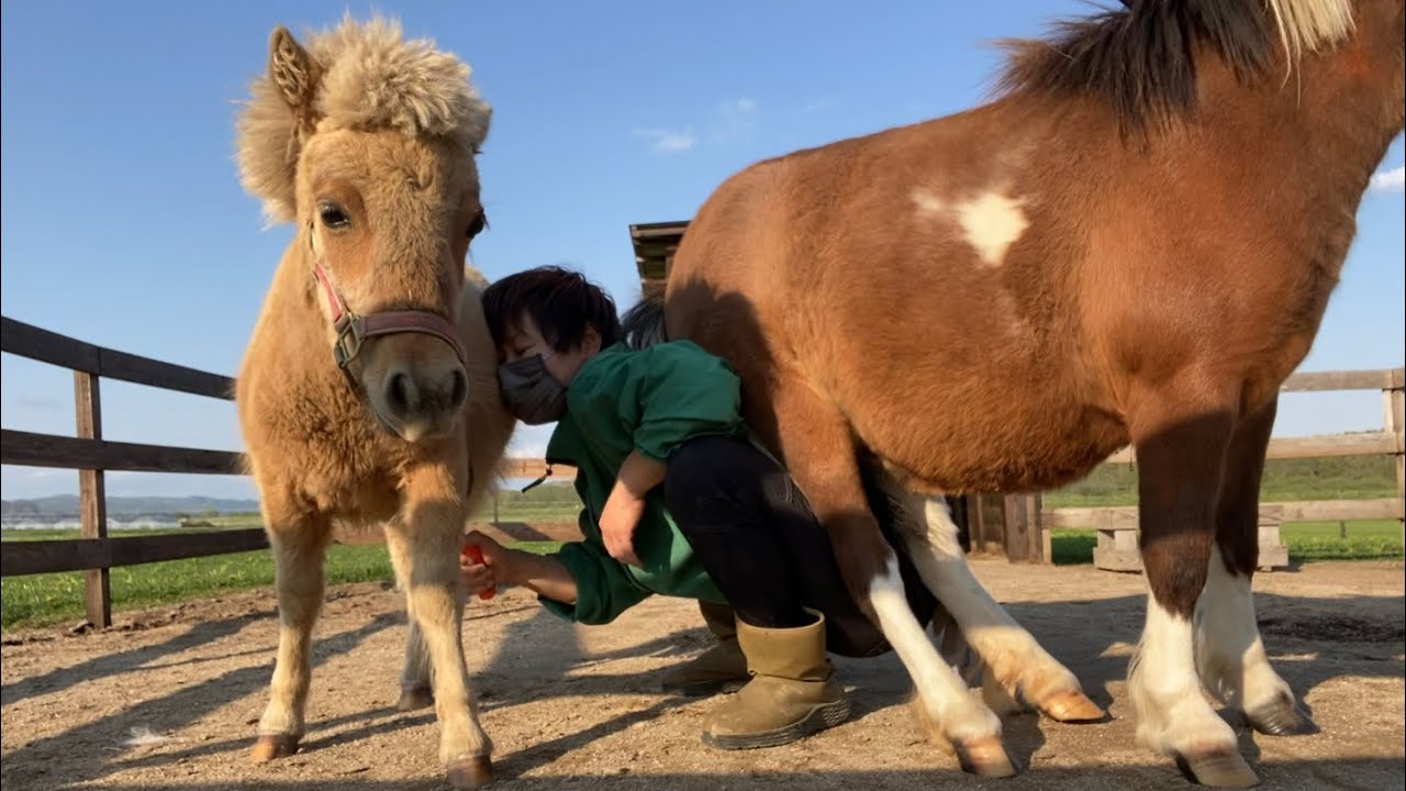 本人たちに悪気はないんです