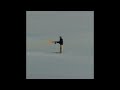 (FREE) "Hellcat" - Jolagreen23 Type Beat