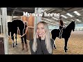 MEET MY NEW HORSE...